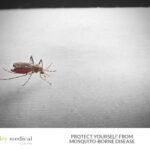 Protect Yourself from Mosquito-Borne Diseases