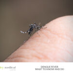 Dengue Fever: What to Know and Do