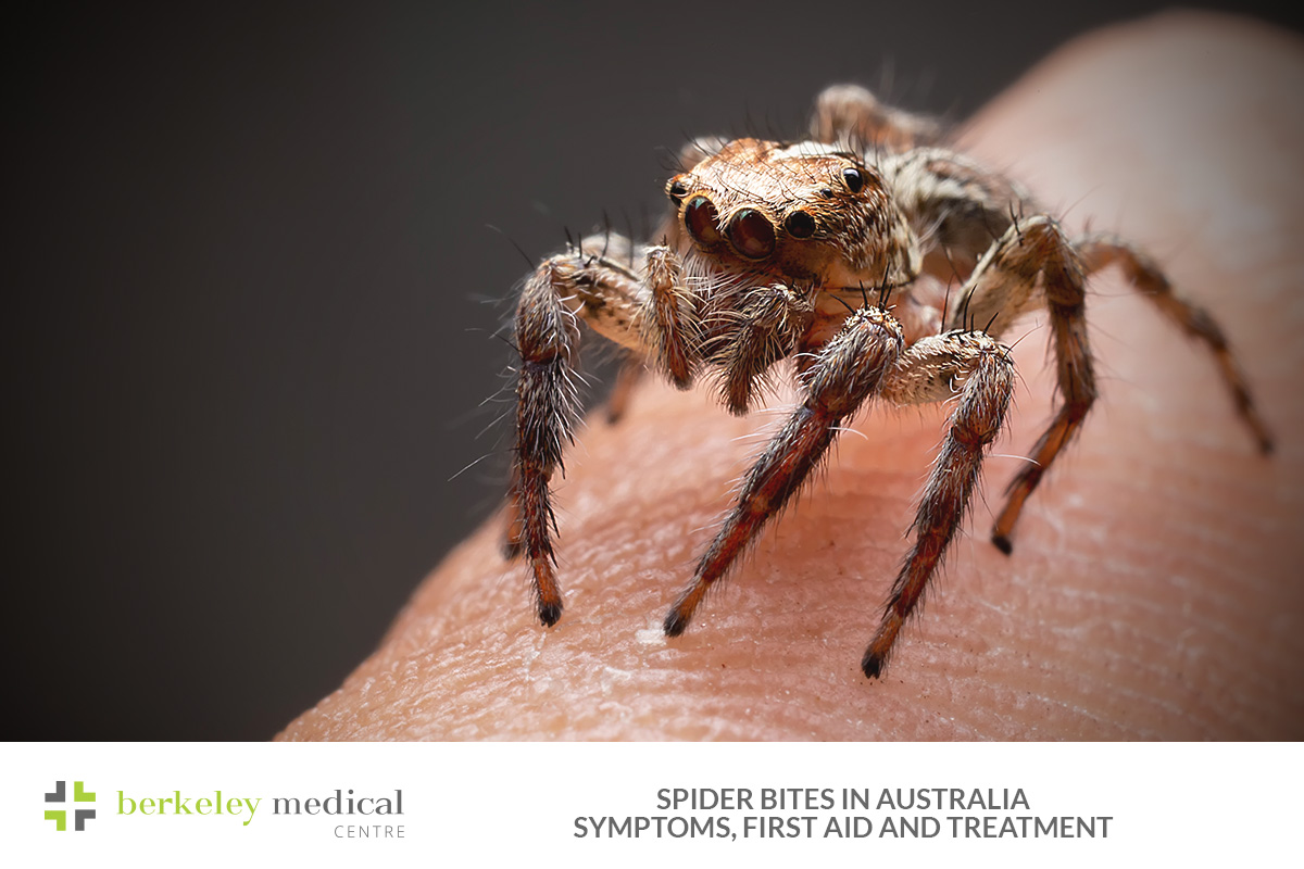 Spider Bites in Australia
