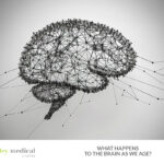 What happens to the brain as we age